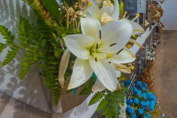 La pandemia merma la visita de familiares a los cementerios de Telde para rendir homenaje a sus difuntos/TA.