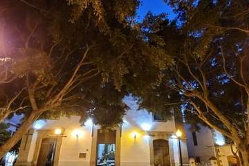  Telde pide al milagrero San Gregorio que acabe con la pandemia/TA y Jesús Ruiz Mesa.