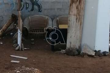 Chamizo pegado al campo municipal de Melenara/TA.