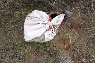 Hallan restos animales desmembrados en Tara/TA.