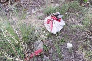 Hallan restos animales desmembrados en Tara/TA.