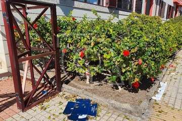  Vecinos de Salinetas, cómodos e insolidarios/TA.