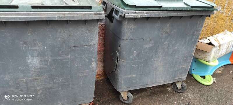 Imagen de los dos contenedores de basura de la calle Diana (Foto TA)