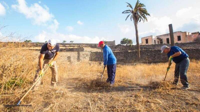 Imagen de archivo de contratados de un convenio/TA.