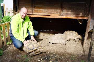 TortuPark, un criadero de tortugas en Telde/Acfi Press.