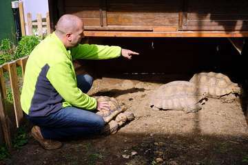 TortuPark, un criadero de tortugas en Telde/Acfi Press.