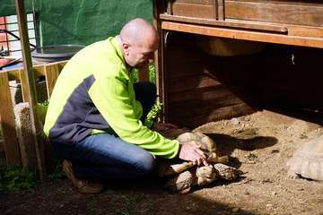 TortuPark, un criadero de tortugas en Telde/Acfi Press.