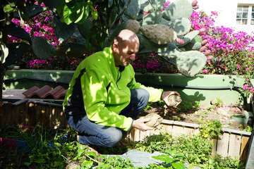 TortuPark, un criadero de tortugas en Telde/Acfi Press.