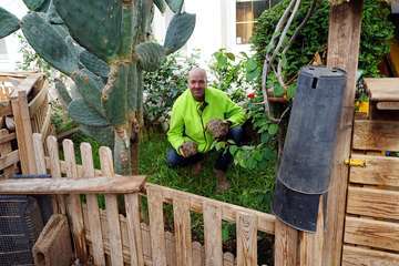 TortuPark, un criadero de tortugas en Telde/Acfi Press.