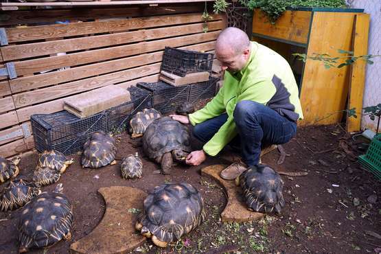TortuPark, un criadero de tortugas en Telde/Acfi Press.