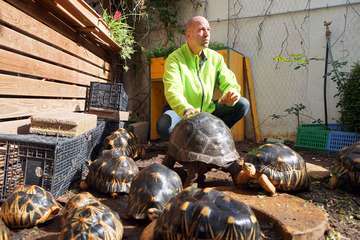 TortuPark, un criadero de tortugas en Telde/Acfi Press.