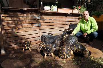 TortuPark, un criadero de tortugas en Telde/Acfi Press.