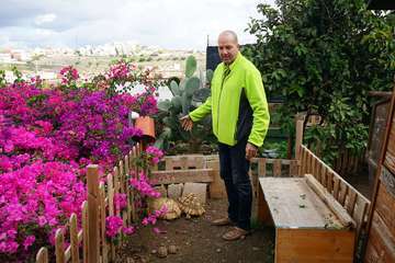 TortuPark, un criadero de tortugas en Telde/Acfi Press.