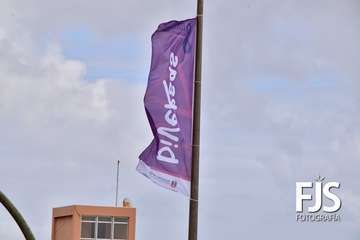 Mural y banderolas violetas en Telde por el 8-M/Francisco Javier Santana.