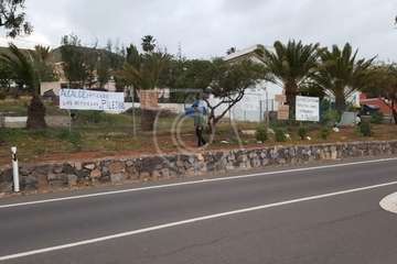 Piletillas enseña la patita al Gobierno de Telde/TA.