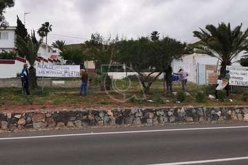 Piletillas enseña la patita al Gobierno de Telde/TA.