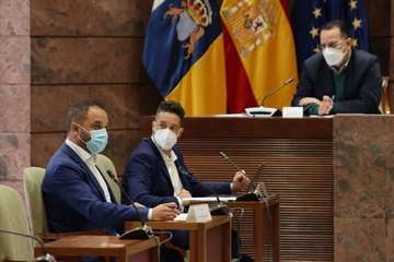 Juanfra Herrera Usal durante su intervención en la comisión del Parlamento canario, este jueves/TA.