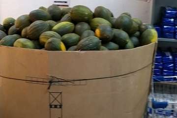 El colectivo social Guillermo Casañas recibe de SurcoDulce una donación de 4,5 toneladas de melones/TA.
