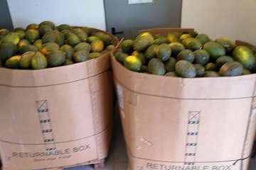 El colectivo social Guillermo Casañas recibe de SurcoDulce una donación de 4,5 toneladas de melones/TA.