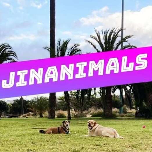 Cartel de Jinanimals/TA.