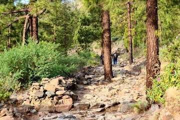 Telde cumple con el Año Santo Jacobeo en Gáldar/TA.
