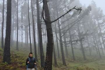 Telde cumple con el Año Santo Jacobeo en Gáldar/TA.