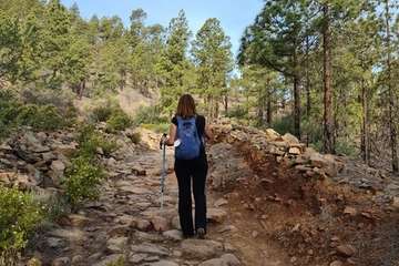 Telde cumple con el Año Santo Jacobeo en Gáldar/TA.