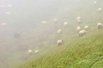 Telde cumple con el Año Santo Jacobeo en Gáldar/TA.