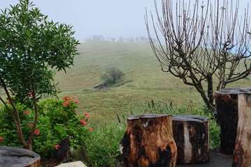 Telde cumple con el Año Santo Jacobeo en Gáldar/TA.