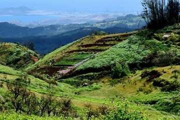 Telde cumple con el Año Santo Jacobeo en Gáldar/TA.