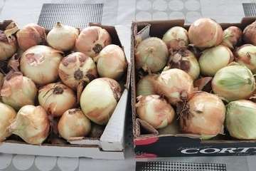  La asociación Asdownsur dona 400 kilos de alimentos para la causa del cocinero Jazael Quevedo/TA.