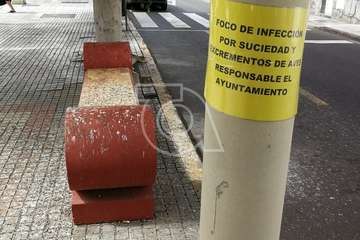 Salinetas pasa a la acción ante la 