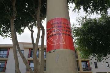 Salinetas pasa a la acción ante la 