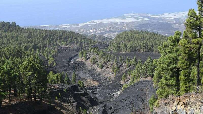 Pista Forestal General que transcurre entre los términos municipales de El Paso y FuencalienteTA.