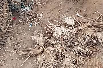 Vecinos de Jinámar dan ejemplo de civismo/TA.