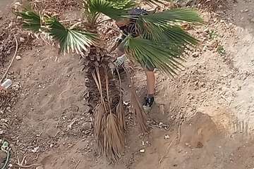 Vecinos de Jinámar dan ejemplo de civismo/TA.