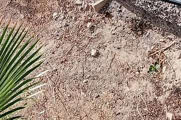 Vecinos de Jinámar dan ejemplo de civismo/TA.