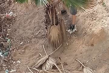 Vecinos de Jinámar dan ejemplo de civismo/TA.