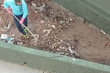 Vecinos de Jinámar dan ejemplo de civismo/TA.