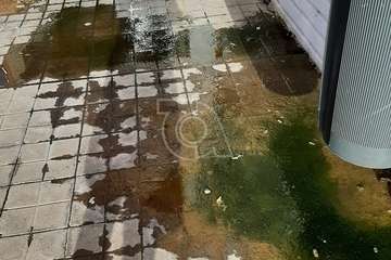 Charcos de aguas pestilentes cerca del Centro de Salud y farmacia de Las Remudas/TA.