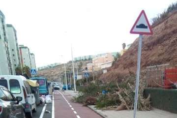 Restos de la poda acometida por los vecinos en el Valle de Jinámar/TA.