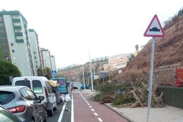 Restos de la poda acometida por los vecinos en el Valle de Jinámar/TA.