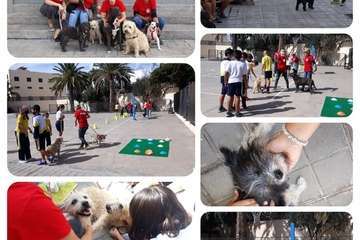 La Fiesta de Salud vuelve con éxito a Las Remudas/TA.