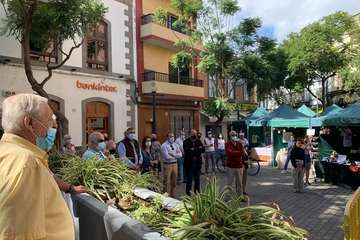 Doce profesionales ofrecen sus creaciones en la Muestra de Artesanía de Los Llanos/TA.