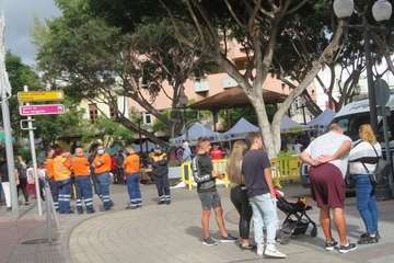 Los Llanos celebra el día grande de San Gregorio/TA.