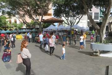 Los Llanos celebra el día grande de San Gregorio/TA.