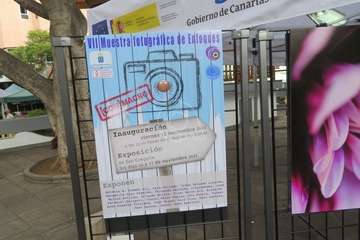 Los Llanos celebra el día grande de San Gregorio/TA.