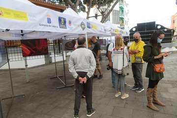 Los Llanos celebra el día grande de San Gregorio/TA.