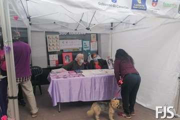 Ocho colectivos muestran en Telde sus trabajos en favor de la mujer/Francisco Javier Santana.