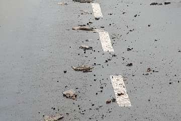 Río de excrementos en una calle de La Herradura (Telde)/TA.